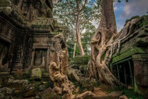 1-Day Amazing Angkor Wat Tour with Sunset & All Interesting Major Temples - First Stop: Angkor Wat at Morning Light and Big-Icon Scale