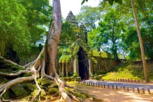 3 Days Siem Reap Explorer - Small Group - Angkor Thom’s big gates and the carving stops you’ll actually remember