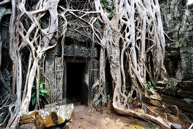 7-must See Temples in Angkor Park (Private Guided Tour) - Srah Srang Breakfast and Coffee Break (Yes, It’s Part of the Temple Plan)
