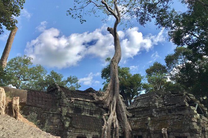 Angkor Wat & Floating Village 3-Day Private Tour - Getting Started in Siem Reap: Pickup, Timing, and Comfort