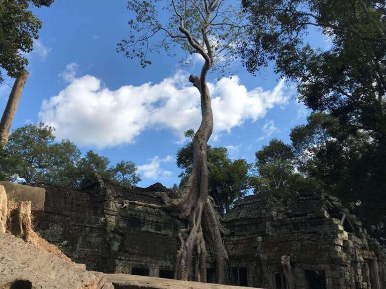 Angkor Wat Sunrise by Vintage Jeep – Private Tour - The pre-dawn pickup and how the day stays smooth