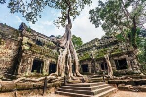 Angkor Wat Sunrise tour with Small - Group and Guide tours - Small-group logistics: pickup, van comfort, and staying together