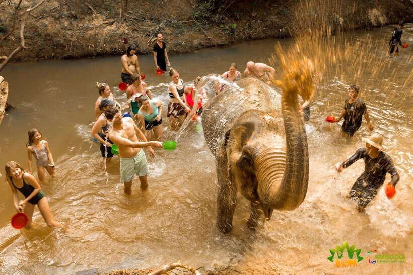 Elephant Sanctuary Cambodia, Pickup and drop off included - Key Things to Love About Elephant Sanctuary Cambodia (Pickup Included)