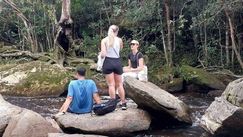 From Kampot: Bokor National Park Scenic Tour - How your English-speaking guide changes the day
