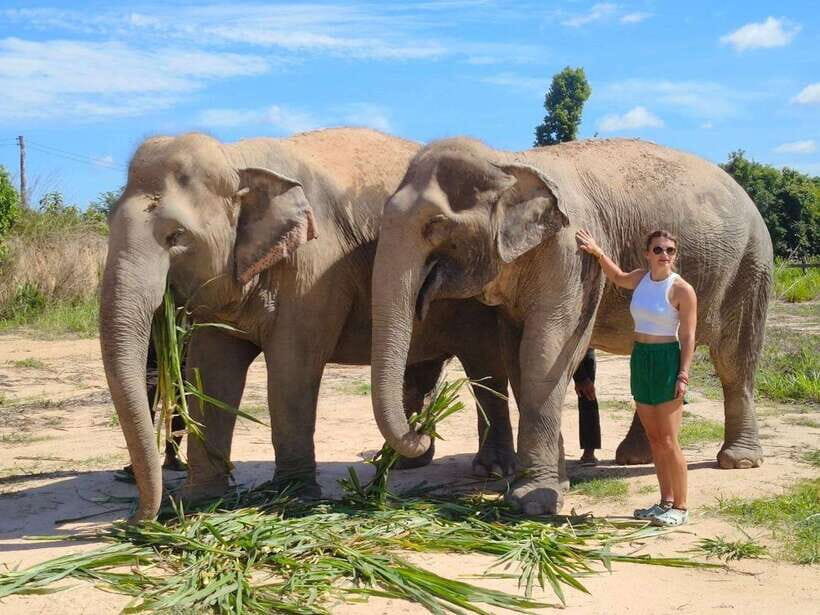 From Siem Reap: Elephant Sanctuary Experience with Transfers - From Siem Reap Pickup to the Sanctuary Forest Grounds