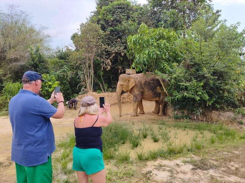 From Siem Reap: Elephant Sanctuary Experience with Transfers - Handmade Snacks: Preparing Food Before You Feed