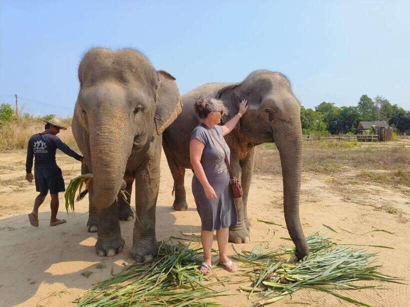 From Siem Reap: Elephant Sanctuary Experience with Transfers - Trekking Through Cambodia’s Green: Watching Plants and Behavior