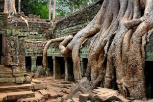 Full-Day Guided Sunset Tour of Angkor Wat - Angkor Wat first: getting your bearings before you go wandering