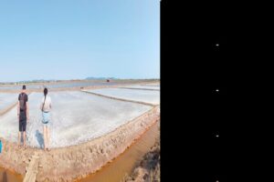 Full day Tour, Countryside, Pepper farm & Kep, crab market... - Salt fields: the short stop that explains a big product