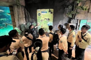 Half Day River Monster Tour with Private Guide in Siem Reap - Step 1 at the aquarium: the river monster story with a private guide