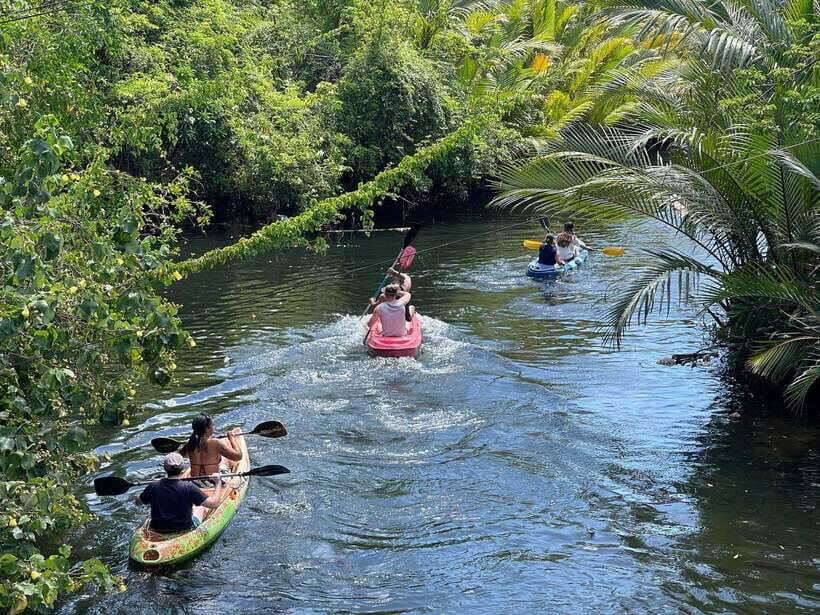 Kayaking tour around green cathedral - Price and what $25 buys you in real comfort