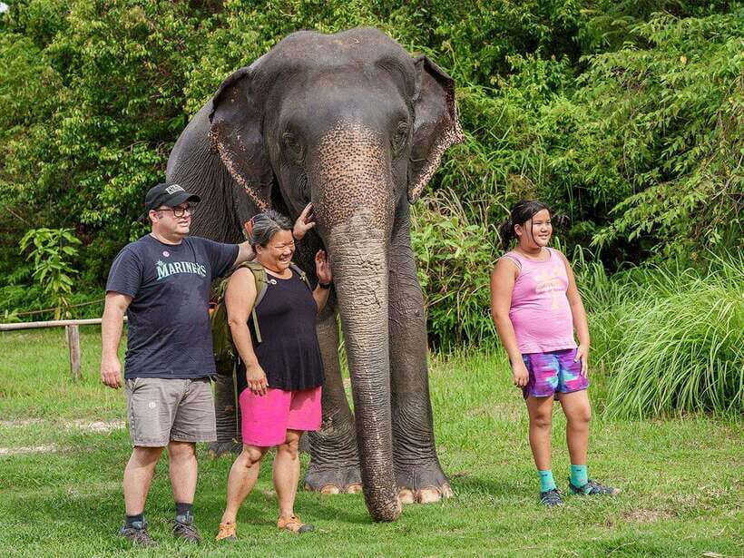 Kulen Elephant Forest Tour with Hotel Pick-up & Drop off - Key highlights worth your attention