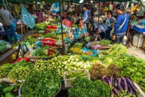 Morning Cooking Class and Market Tour in Siem Reap - Village School Demo: From Your Chosen Menu to the Recipe Brochure