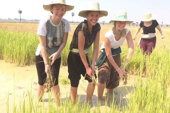 NhumBai, The Village Experience - Key Highlights Worth Your Time