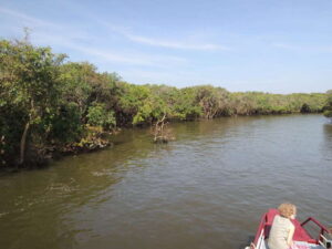 Phnom Penh to Siem Reap cruise/land tour (one way) - Cruise details on the Tonle Sap and Mekong routes