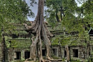Private sunrise tour to Angkor Wat & other highlights with Professional Guide. - Price and What You Actually Get for $65