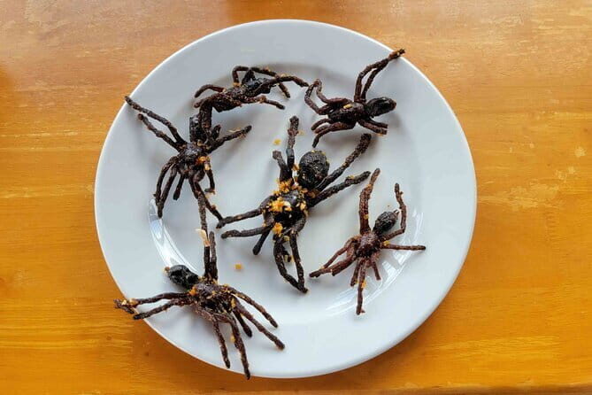 Private Taxi Phnom Penh To Siem Reap Include Floating Villages - Skun Spider Sanctuary: Spiderville snacks and a safe way to try