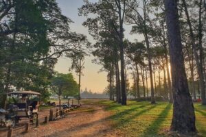 Private Temples Guided Tour (Angkor Wat, Ta Prom & Angkor Thom) - Breakfast Break on Sivutha Boulevard: Refuel Without Losing the Day