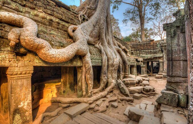 Shared Tour to Angkor Wat, Bayon and Ta Prohm Temples - Key takeaways before you go