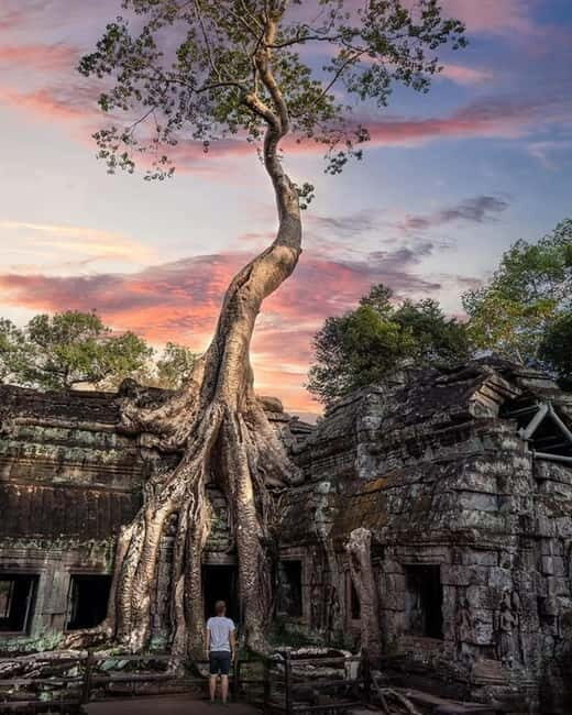 Siem Reap: 2-Day Private Angkor Wat & Angkor Temples Tour - Day 1 Small Circuit: South Gate to Ta Prohm, Then Angkor Wat