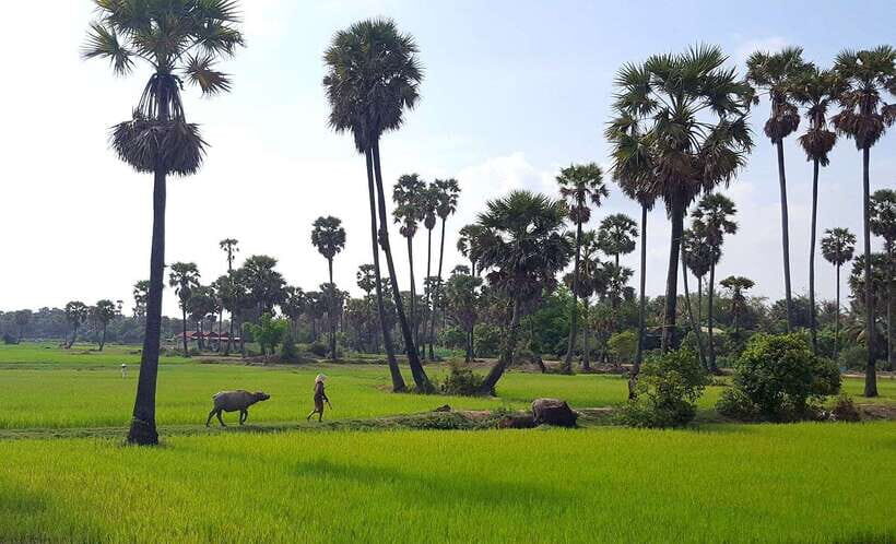 Siem Reap: 3-Hour Ancient Trails Motorbike Tour - Should you book the Siem Reap Ancient Trails Motorbike Tour?