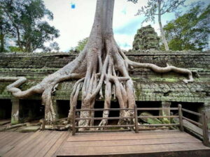 Siem Reap: Angkor Wat Admission Ticket - The Photo Requirement: Simple, But Don’t Ignore It
