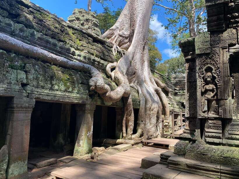 Siem Reap: Angkor Wat Sunrise and Full-Day Sightseeing Tour - Meeting at 4:30 a.m.: How the day’s rhythm actually feels
