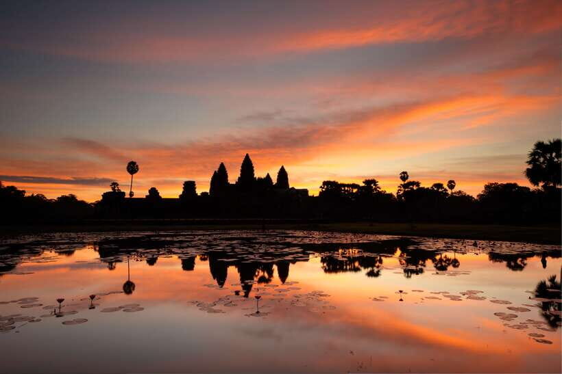 Siem Reap: Angkor Wat Sunrise Bike Tour & Jungle Breakfast - Ta Prohm, the Tomb Raider Temple, after you’ve ridden the park