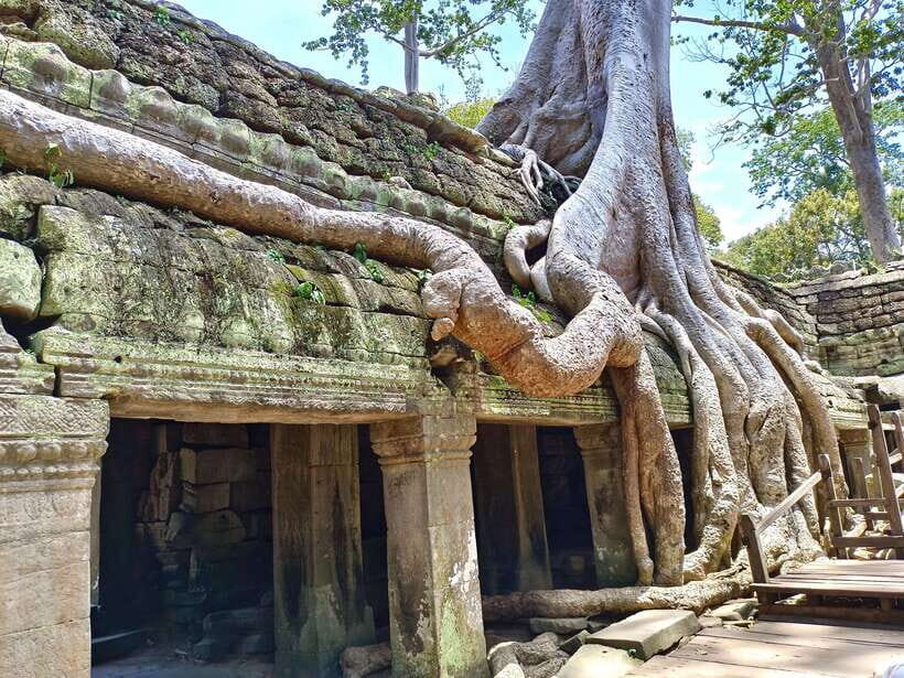 Siem Reap: Angkor Wat with German or English Guided Tour - The guide experience: why names like Sak and Sam show up