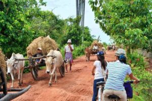 Siem Reap Countryside Jeep Tour - Kompong Khleang floating village: stilt houses, Tonle Sap water life, and lunch