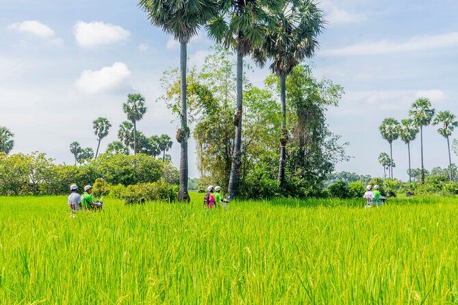 Siem Reap: Countryside Vespa Tour / Tuk Tuk Available - Why a vintage Vespa day beats the usual Siem Reap circuit