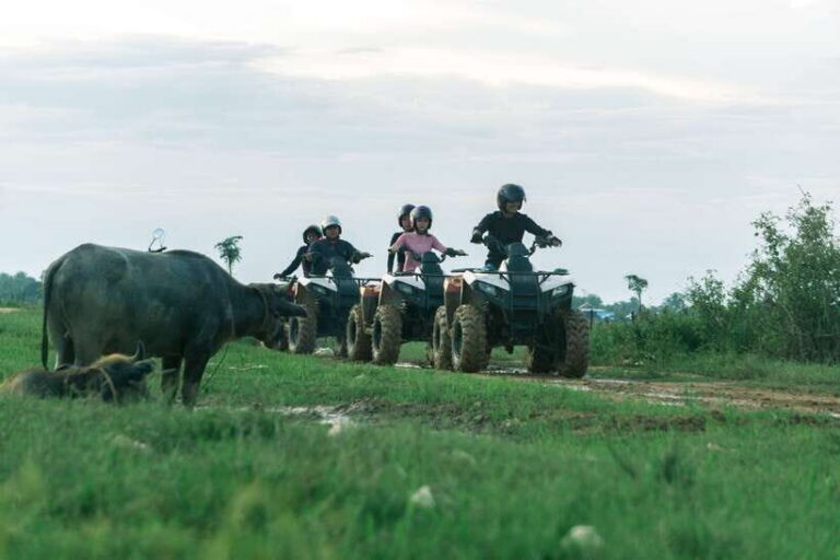 Siem Reap: Quad Bike Tour of Local Villages - The sunset stop at the rice paddies: buffalo, birds, and that last light
