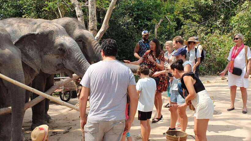 Siem Reap: Small Group Tour of Kulen Elephant Forest - Feeding time with handmade snacks: the moment that changes how you see elephants