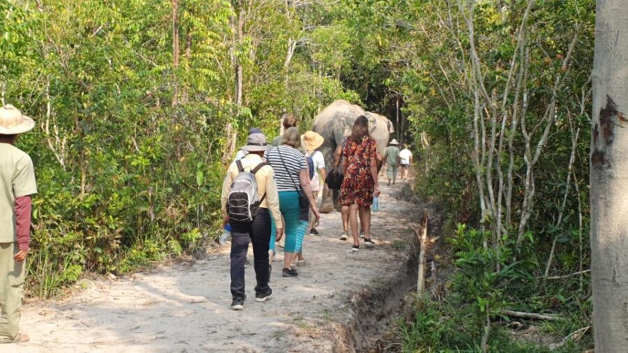 Siem Reap: Small Group Tour of Kulen Elephant Forest - Price and value: is $96 a fair deal for this short day?