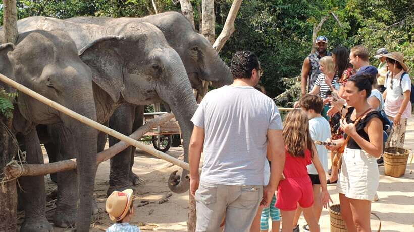 Siem Reap: Small Group Tour of Kulen Elephant Forest - Getting there smoothly: the 4.5-hour block from Siem Reap