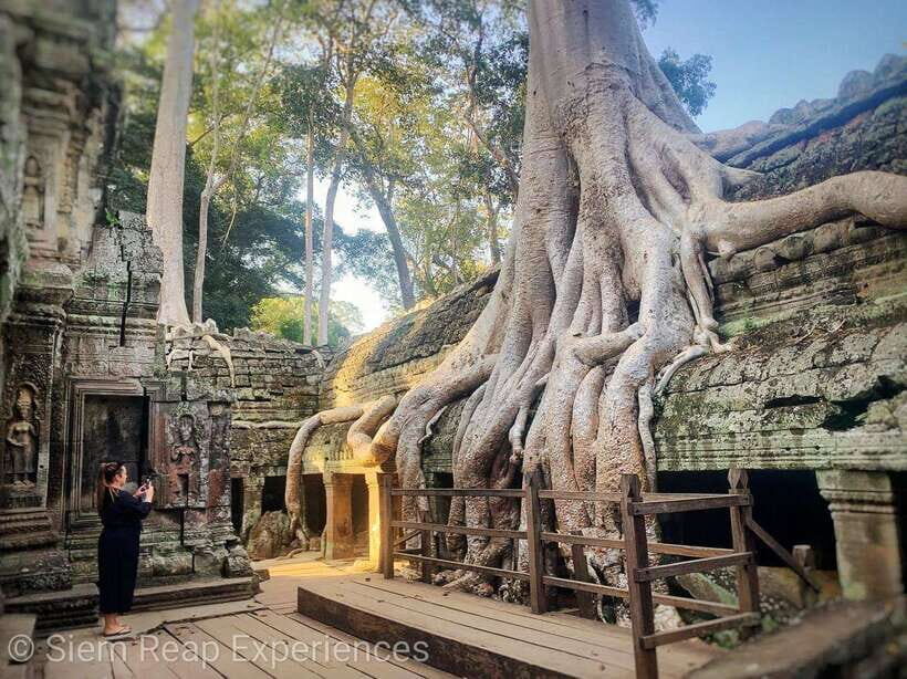 Small-Group Full Day Angkor wat Guide tour with Sun set - Ta Prohm: walking the jungle-lined path where trees take over