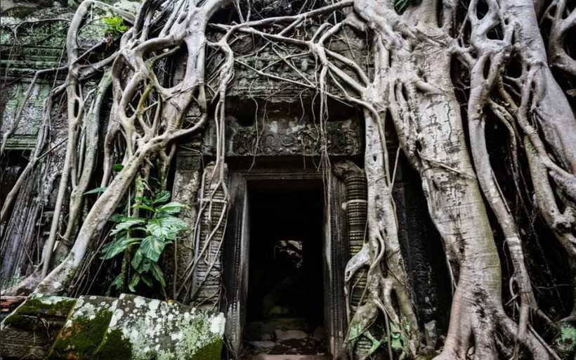Sunrise at Angkor Wat and Small Tour with Tours Guide - The Elephant Terrace and Leper King Terrace: royal viewing platforms