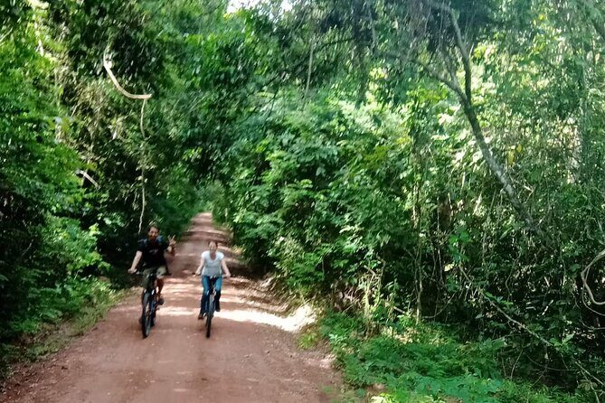 Sunset or sunrise bicycle tour around Angkor Wat and nearby temples - What you get for about $45: value beyond the sticker price